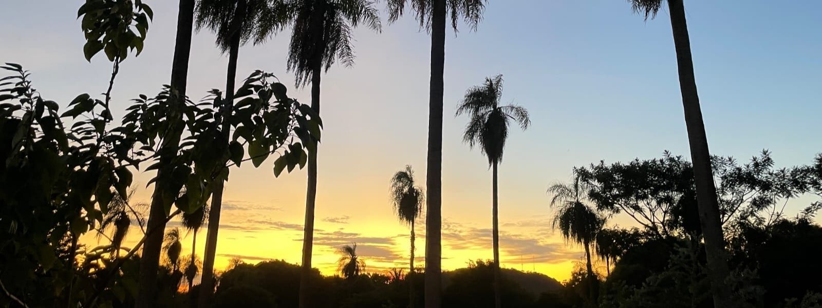 Auswandern nach Paraguay
